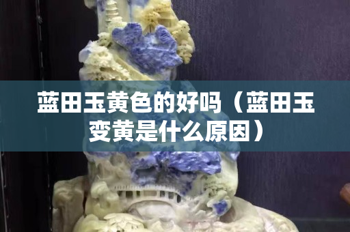 藍田玉黃色的好嗎（藍田玉變黃是什么原因）