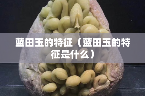 藍田玉的特征（藍田玉的特征是什么）
