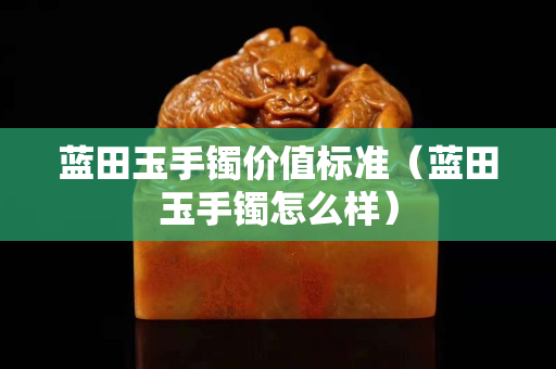 藍田玉手鐲價值標準（藍田玉手鐲怎么樣）