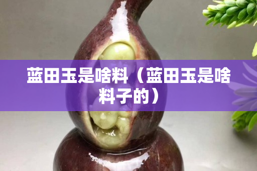 藍(lán)田玉是啥料（藍(lán)田玉是啥料子的）