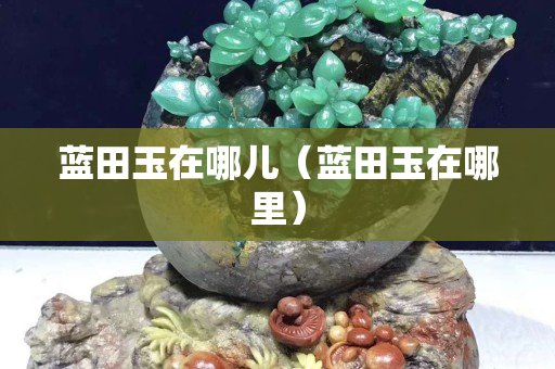 藍田玉在哪兒（藍田玉在哪里）