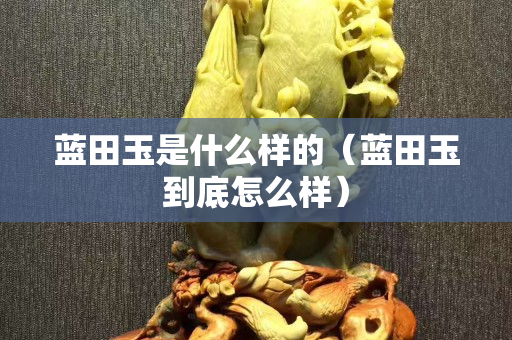藍田玉是什么樣的（藍田玉到底怎么樣）