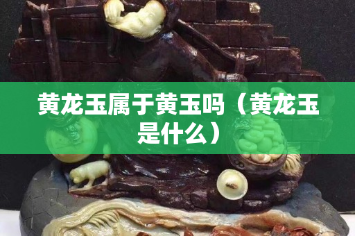 黃龍玉屬于黃玉嗎（黃龍玉是什么）