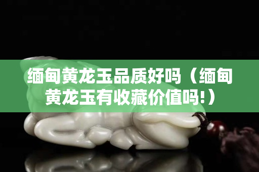 緬甸黃龍玉品質好嗎（緬甸黃龍玉有收藏價值嗎!）