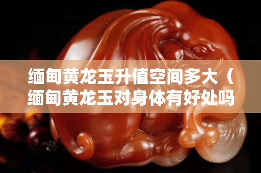 緬甸黃龍玉升值空間多大（緬甸黃龍玉對身體有好處嗎）