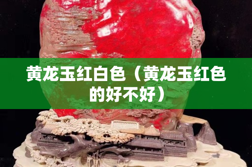 黃龍玉紅白色（黃龍玉紅色的好不好）