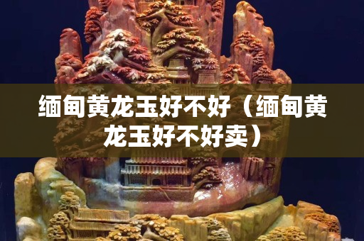 緬甸黃龍玉好不好（緬甸黃龍玉好不好賣）