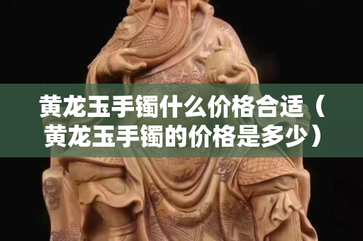 黃龍玉手鐲什么價格合適（黃龍玉手鐲的價格是多少）