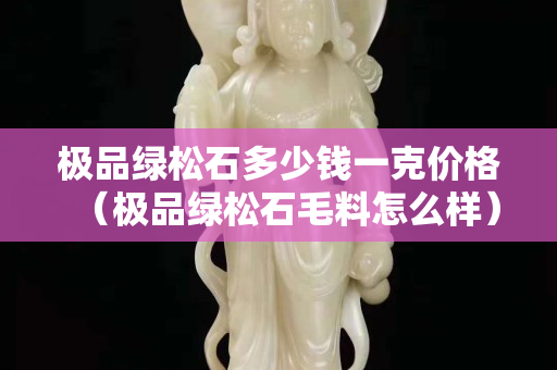 極品綠松石多少錢一克價(jià)格（極品綠松石毛料怎么樣）