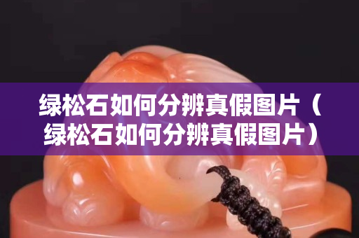 綠松石如何分辨真假圖片（綠松石如何分辨真假圖片）