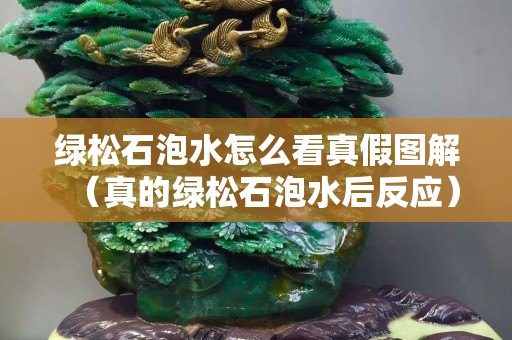 綠松石泡水怎么看真假圖解（真的綠松石泡水后反應(yīng)）