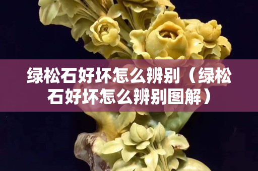 綠松石好壞怎么辨別（綠松石好壞怎么辨別圖解）
