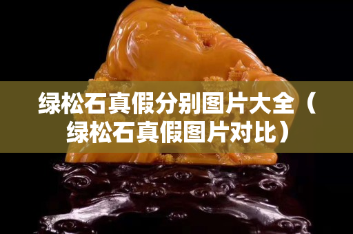 綠松石真假分別圖片大全（綠松石真假圖片對比）