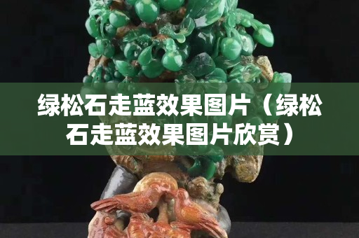 綠松石走藍效果圖片（綠松石走藍效果圖片欣賞）