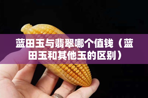 藍田玉與翡翠哪個值錢（藍田玉和其他玉的區別）