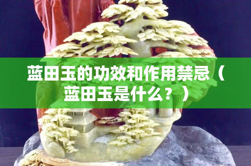 藍田玉的功效和作用禁忌（藍田玉是什么？）