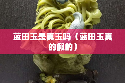 藍(lán)田玉是真玉嗎（藍(lán)田玉真的假的）