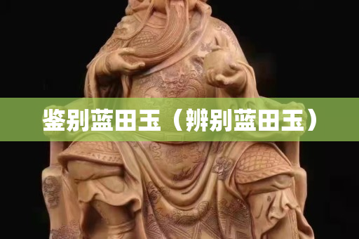 鑒別藍田玉（辨別藍田玉）