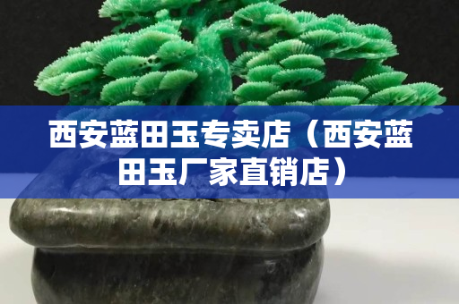 西安藍田玉專賣店（西安藍田玉廠家直銷店）