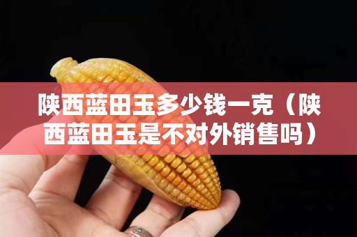 陜西藍田玉多少錢一克（陜西藍田玉是不對外銷售嗎）
