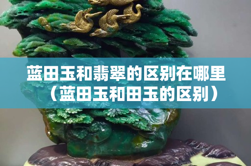 藍田玉和翡翠的區別在哪里（藍田玉和田玉的區別）