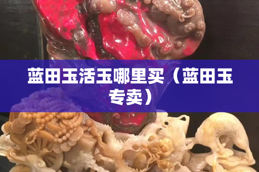 藍田玉活玉哪里買（藍田玉專賣）