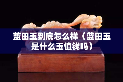 藍田玉到底怎么樣（藍田玉是什么玉值錢嗎）