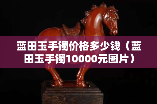 藍田玉手鐲價格多少錢（藍田玉手鐲10000元圖片）