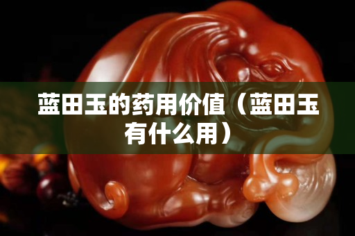藍(lán)田玉的藥用價(jià)值（藍(lán)田玉有什么用）