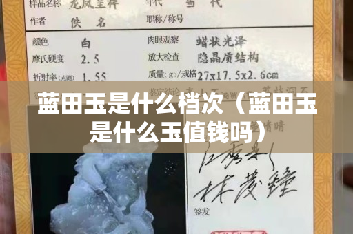 藍田玉是什么檔次（藍田玉是什么玉值錢嗎）