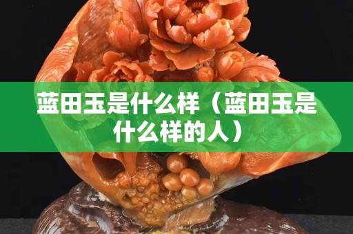 藍田玉是什么樣（藍田玉是什么樣的人）