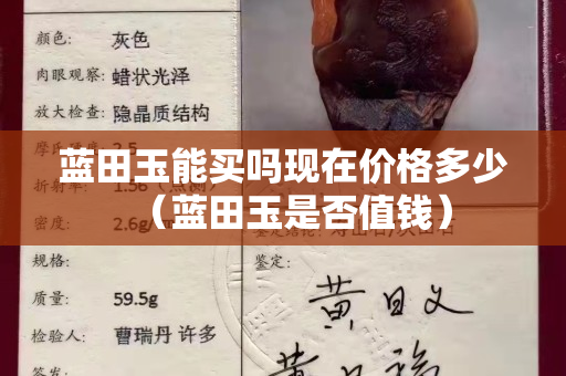 藍(lán)田玉能買嗎現(xiàn)在價格多少（藍(lán)田玉是否值錢）