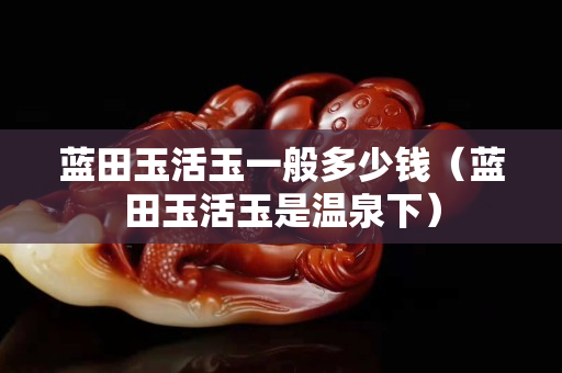 藍田玉活玉一般多少錢（藍田玉活玉是溫泉下）