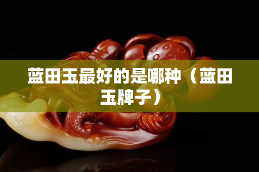 藍田玉最好的是哪種（藍田玉牌子）