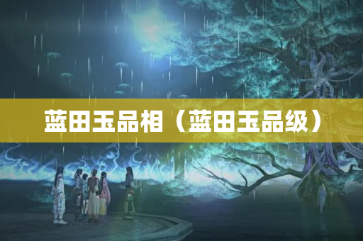 藍田玉品相（藍田玉品級）