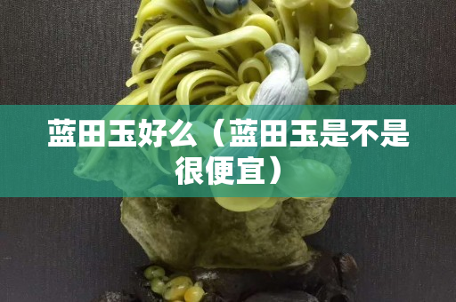 藍田玉好么（藍田玉是不是很便宜）