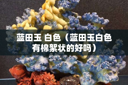 藍田玉 白色（藍田玉白色有棉絮狀的好嗎）