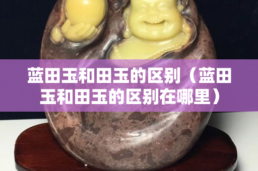 藍田玉和田玉的區別（藍田玉和田玉的區別在哪里）