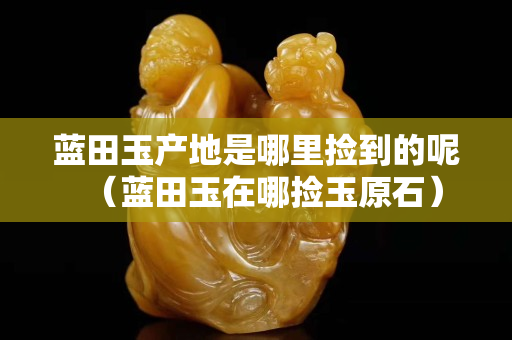 藍(lán)田玉產(chǎn)地是哪里撿到的呢（藍(lán)田玉在哪撿玉原石）