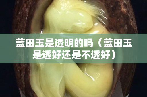 藍田玉是透明的嗎（藍田玉是透好還是不透好）
