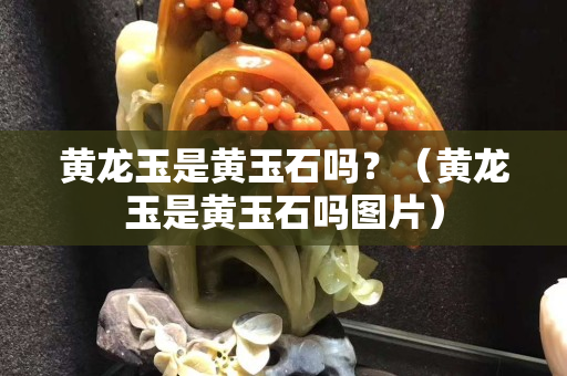 黃龍玉是黃玉石嗎？（黃龍玉是黃玉石嗎圖片）