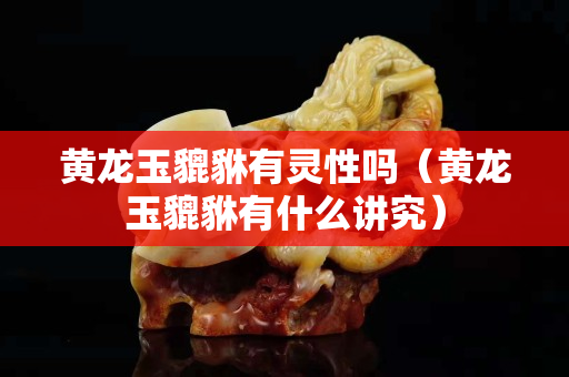 黃龍玉貔貅有靈性嗎（黃龍玉貔貅有什么講究）