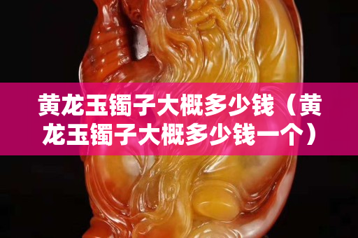 黃龍玉鐲子大概多少錢（黃龍玉鐲子大概多少錢一個）