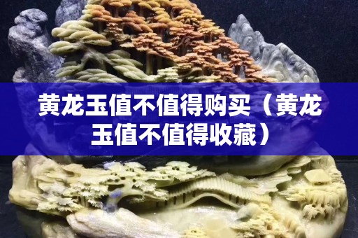 黃龍玉值不值得購買（黃龍玉值不值得收藏）