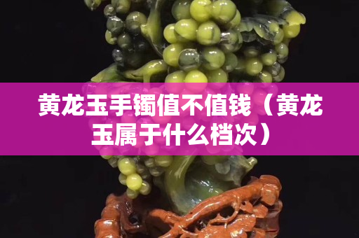 黃龍玉手鐲值不值錢（黃龍玉屬于什么檔次）