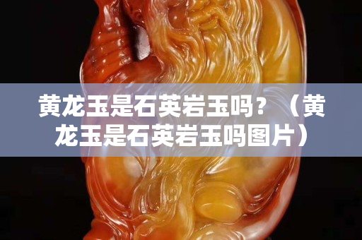 黃龍玉是石英巖玉嗎？（黃龍玉是石英巖玉嗎圖片）