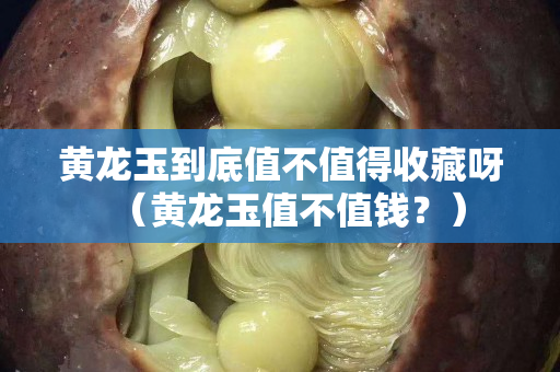 黃龍玉到底值不值得收藏呀（黃龍玉值不值錢？）