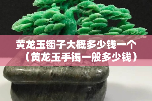 黃龍玉鐲子大概多少錢(qián)一個(gè)（黃龍玉手鐲一般多少錢(qián)）