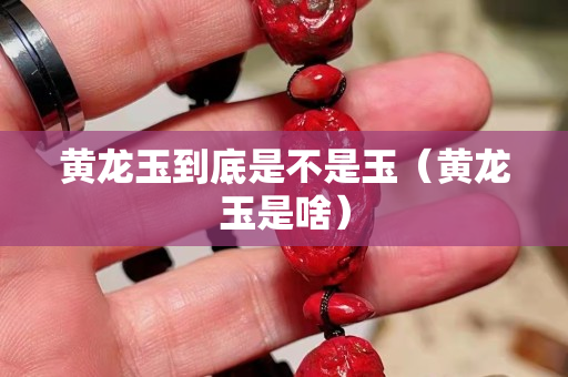 黃龍玉到底是不是玉（黃龍玉是啥）