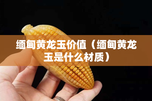 緬甸黃龍玉價值（緬甸黃龍玉是什么材質）